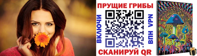 Псилоцибиновые грибы ЛСД  где можно купить   Осинники 