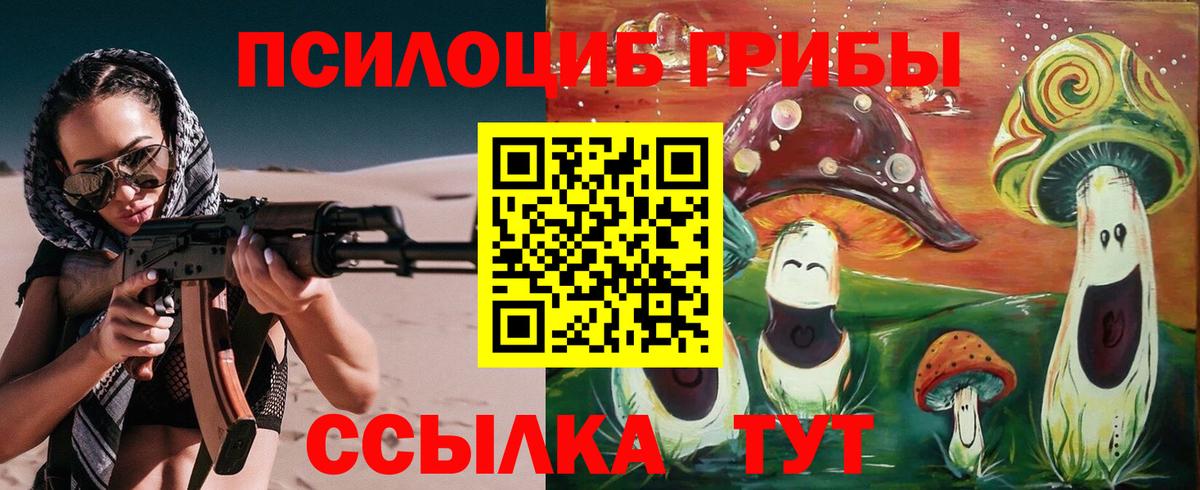 Псилоцибиновые грибы мицелий Осинники